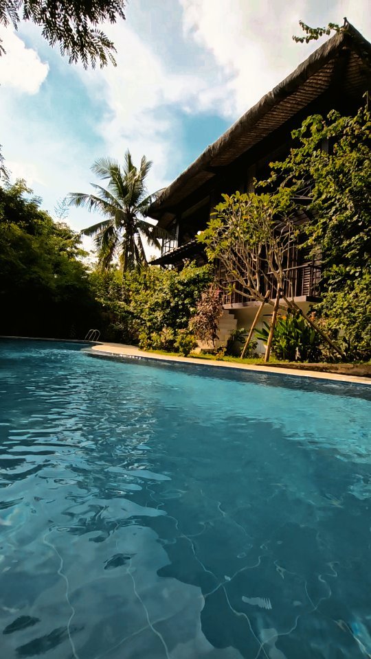 The pristine 25-metre lap pool at The Red Hen Homestead, maintained daily by the on-site caretakers — a feature of the eco B&B at Mt. Banoy, Batangas City