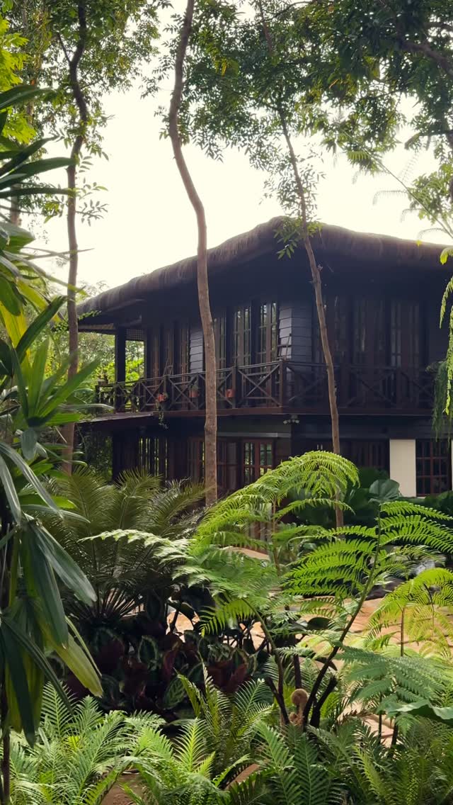 The Red Hen Homestead heritage farmhouse seen through lush ferns and tropical garden foliage