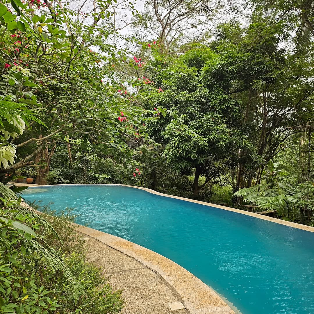 The 25-metre lap pool seen from the side — surrounded by flowering bougainvillea, ferns, and tropical trees