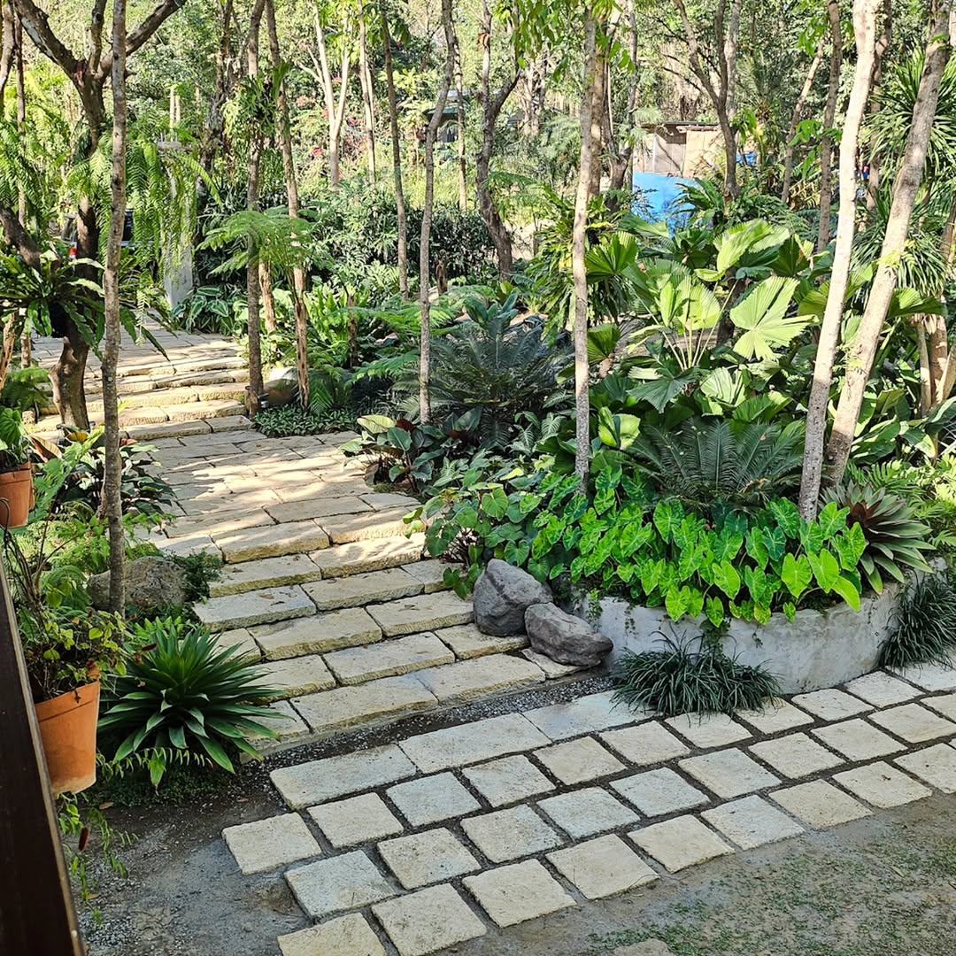 Stepped stone garden path winding through lush tropical trees and garden beds at The Red Hen Homestead